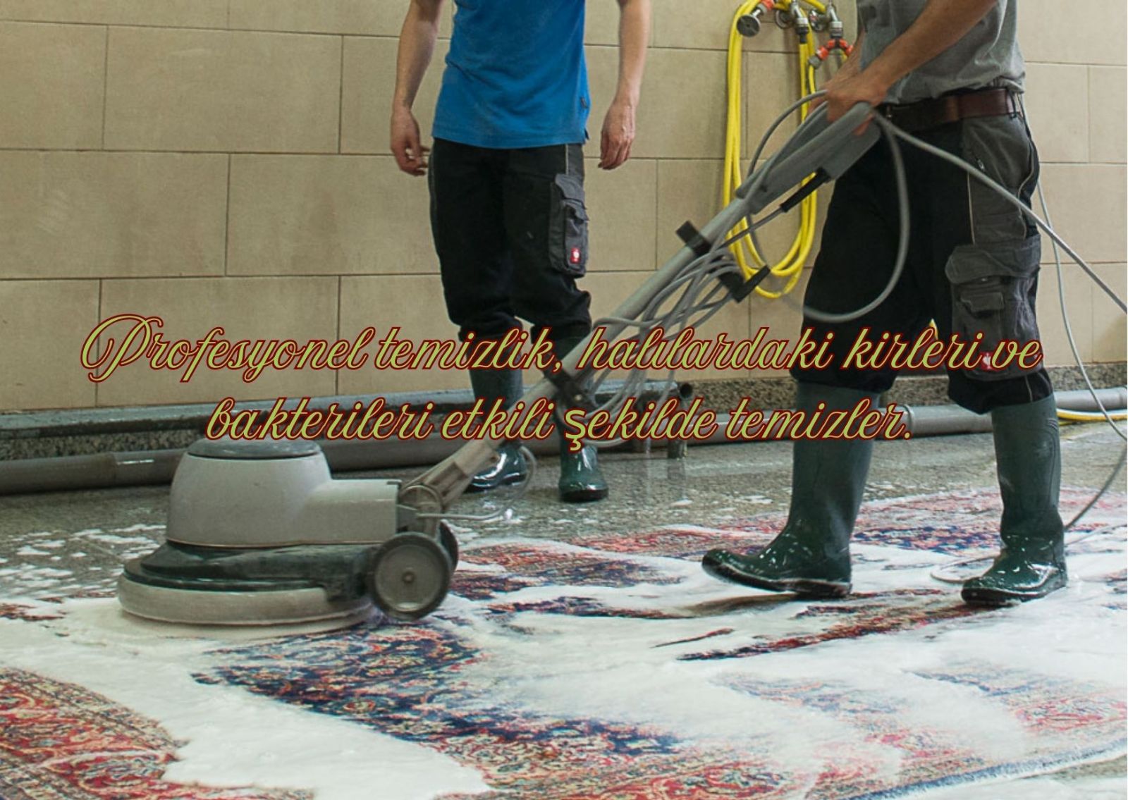 Beydilli Mahallesi Halı Yıkama