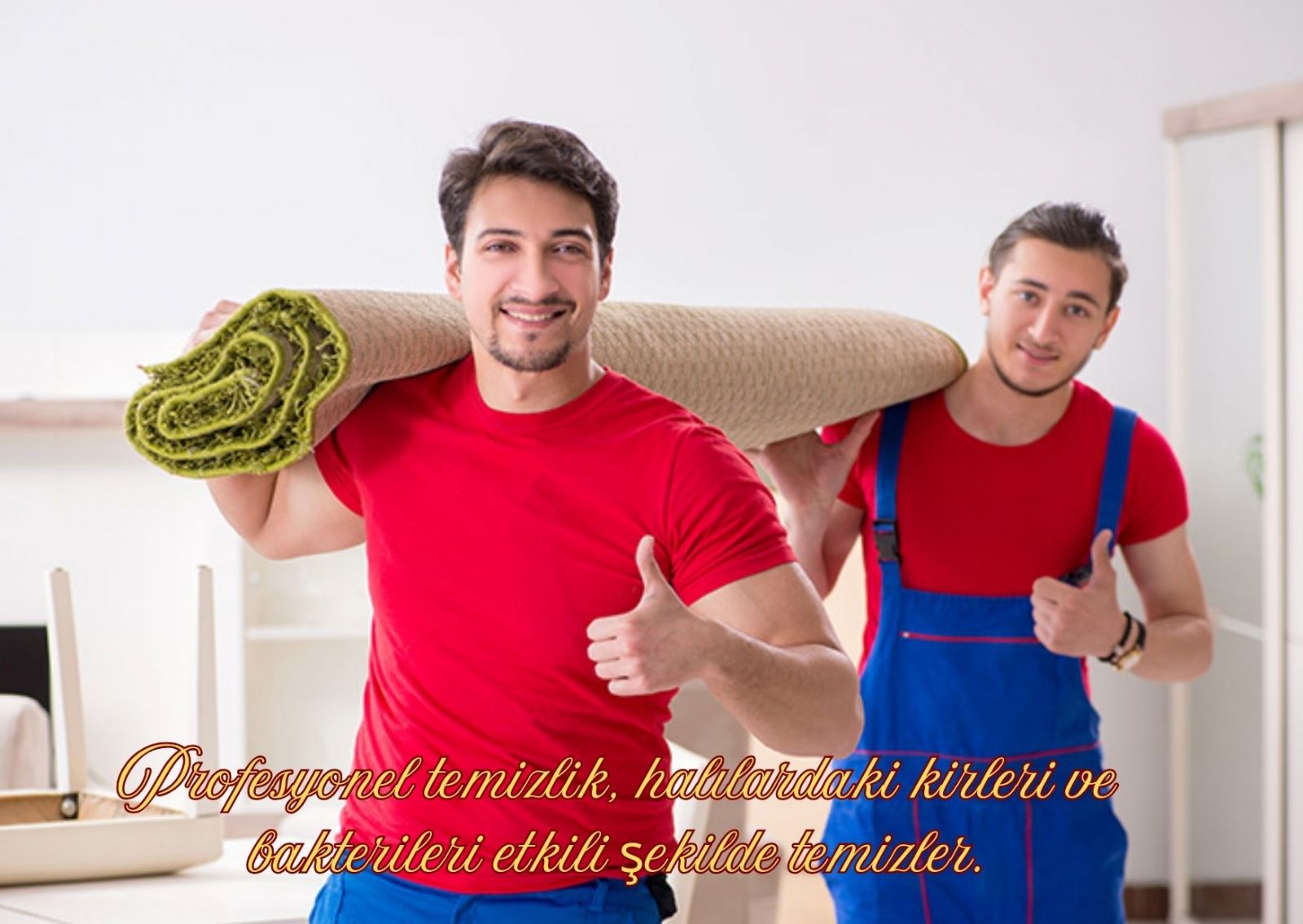 Diliskelesi Mahallesi Halı Yıkama